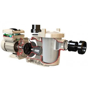 Variable speed pumps